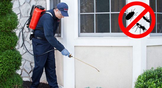 Karesi Akrep İlaçlama böcek ilaçlama ve haşere kontrolü — ilaclama-tr.com